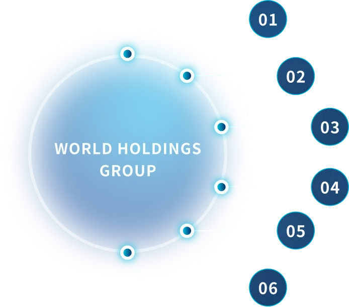 WORLD HOLDINGS GROUPを中心に、グループ各社・部門が01から06まで連携している図